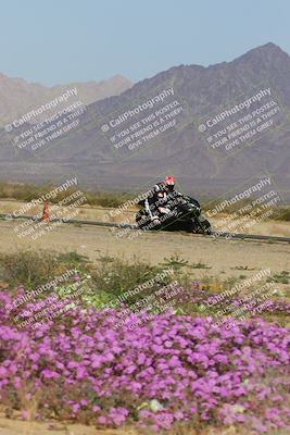 media/Feb-04-2023-SoCal Trackdays (Sat) [[8a776bf2c3]]/Turn 15 Inside Blooming (1050am)/